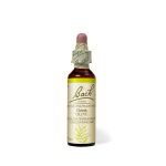 23. Олив (Маслина) 10 мл.