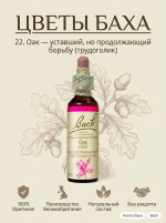 22. Оак (Дуб) 10 мл. — изображение 3