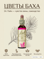 24. Пайн (Сосна) 10 мл. — изображение 3