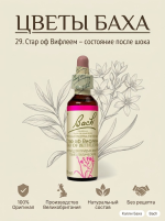 29. Стар оф Вифлеем (Птицемлечник) 10 мл. — изображение 3