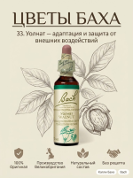 33. Уолнат (Грецкий орех) 10 мл. — изображение 3