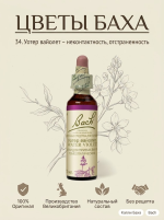 34. Уотер вайолет (Водная фиалка) 10 мл. — изображение 3