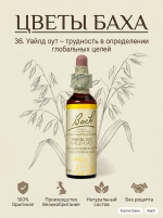 36. Уайлд оут (Овсюг) 10 мл. — изображение 3