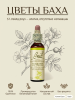 37. Уайлд роуз (Шиповник собачий) 10 мл. — изображение 3