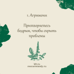 1. Агримони (Репешок) 10 мл. — изображение 2