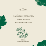 15. Холи (Падуб) 10 мл. — изображение 2