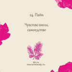 24. Пайн (Сосна) 10 мл. — изображение 2