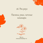26. Рок роуз (Солнцецвет) 10 мл. — изображение 2