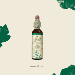 15. Холи (Падуб) 10 мл. — изображение 3