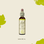 23. Олив (Маслина) 10 мл. — изображение 3