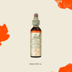 26. Рок роуз (Солнцецвет) 10 мл. — изображение 3