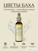 7. Честнат бад (Почки конского каштана) 10 мл. — изображение 3