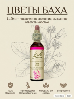 11. Элм (Вяз) 10 мл. — изображение 3