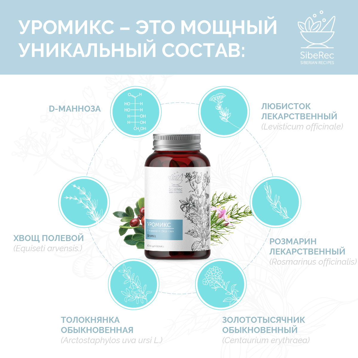 УРОМИКС, 60 капсул — BFR Organic