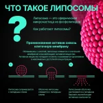 Липосомальный витамин В9 — изображение 3