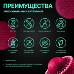 Липосомальный витамин В9 — изображение 2