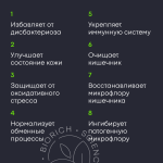 Metalact — изображение 3