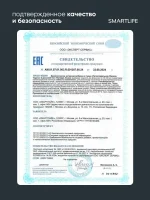 Железо хелат липосомальное с витамином С, 100 мл — изображение 18