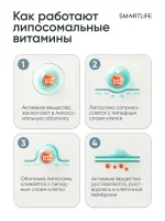 Витамин B12, 100 мл — изображение 7