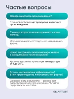 Железо хелат липосомальное с витамином С, 100 мл — изображение 17